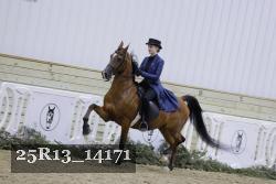 25R13_14171 thumbnail