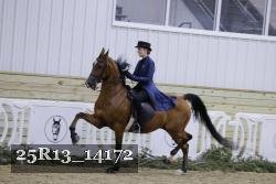 25R13_14172 thumbnail