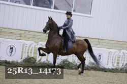 25R13_14173 thumbnail