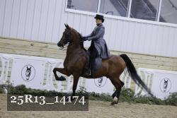 25R13_14174 thumbnail