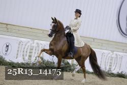 25R13_14175 thumbnail
