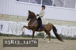 25R13_14176 thumbnail