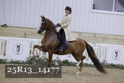 25R13_14177 thumbnail