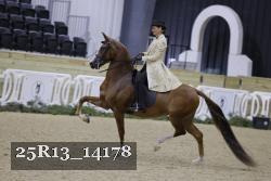 25R13_14178 thumbnail