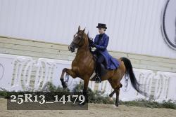 25R13_14179 thumbnail