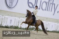 25R13_14180 thumbnail