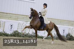 25R13_14181 thumbnail