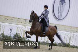 25R13_14183 thumbnail