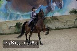25R13_14184 thumbnail