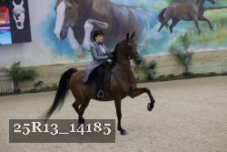 25R13_14185 thumbnail