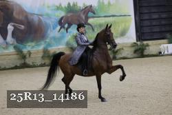 25R13_14186 thumbnail