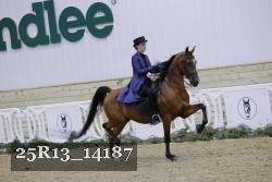 25R13_14187 thumbnail