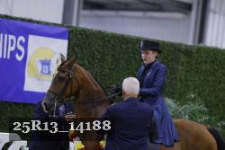 25R13_14188 thumbnail