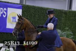 25R13_14190 thumbnail