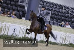 25R13_14210 thumbnail