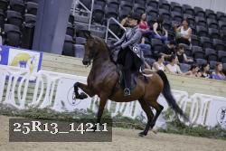25R13_14211 thumbnail