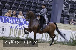 25R13_14212 thumbnail