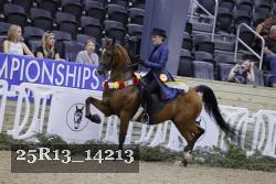 25R13_14213 thumbnail