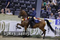 25R13_14215 thumbnail
