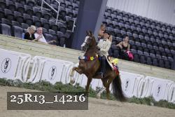 25R13_14216 thumbnail