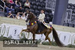 25R13_14217 thumbnail