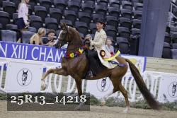 25R13_14218 thumbnail