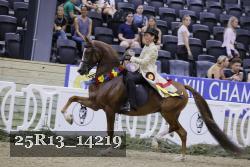 25R13_14219 thumbnail