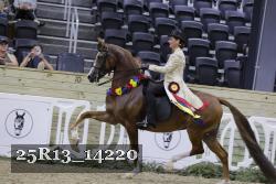 25R13_14220 thumbnail