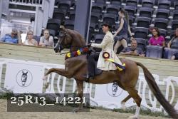 25R13_14221 thumbnail
