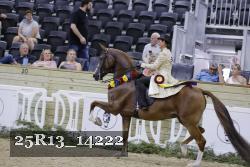 25R13_14222 thumbnail