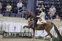 25R13_14223 thumbnail