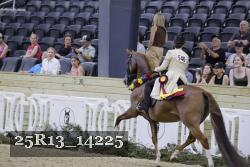 25R13_14225 thumbnail