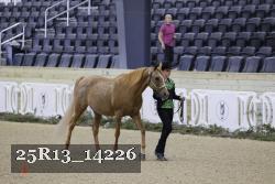 25R13_14226 thumbnail