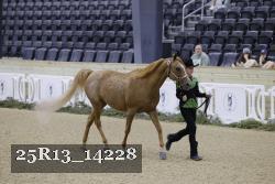25R13_14228 thumbnail