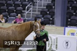 25R13_14232 thumbnail