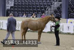 25R13_14233 thumbnail