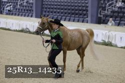 25R13_14235 thumbnail