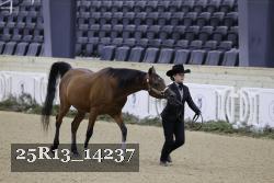 25R13_14237 thumbnail