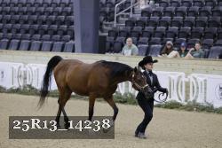 25R13_14238 thumbnail
