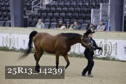 25R13_14239 thumbnail