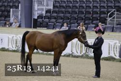 25R13_14241 thumbnail