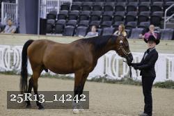 25R13_14242 thumbnail