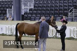 25R13_14244 thumbnail