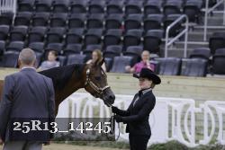 25R13_14245 thumbnail