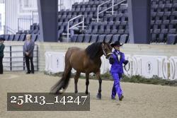 25R13_14247 thumbnail