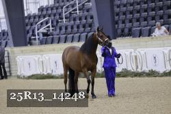 25R13_14248 thumbnail