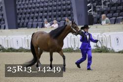 25R13_14249 thumbnail