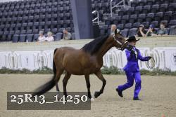 25R13_14250 thumbnail