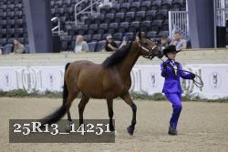 25R13_14251 thumbnail
