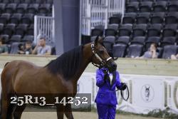 25R13_14252 thumbnail
